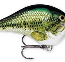 Rapala DT (Dives-To) Crankbait Freshwater 19 Rapala DT (Dives-To) Crankbait Freshwater