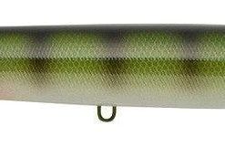 Freshwater Ima Big Stick Topwater Lure