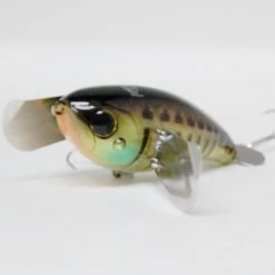 Freshwater Jackall Pompadour JR.