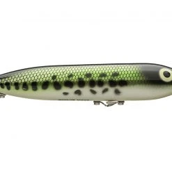 Freshwater Heddon Zara Spook Top Water Bait