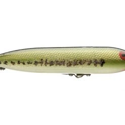 Freshwater Heddon Zara Spook Top Water Bait