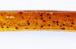 Freshwater Hookup Baits Replacement Bodies Large 11 Freshwater Hookup Baits Replacement Bodies Large