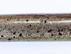 Freshwater Hookup Baits Replacement Bodies Large 12 Freshwater Hookup Baits Replacement Bodies Large