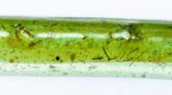 Freshwater Hookup Baits Replacement Bodies Large 13 Freshwater Hookup Baits Replacement Bodies Large