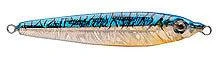 Saltwater P-Line Laser Minnow 15 Saltwater P-Line Laser Minnow