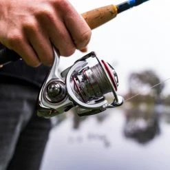 Daiwa Procyon AL LT Spinning Reels