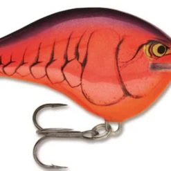 Rapala DT (Dives-To) Crankbait Freshwater 26 Rapala DT (Dives-To) Crankbait Freshwater
