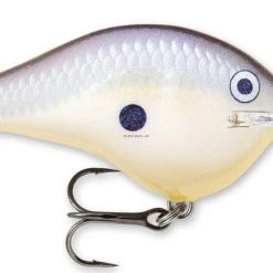 Rapala DT (Dives-To) Crankbait Freshwater 24 Rapala DT (Dives-To) Crankbait Freshwater