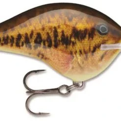 Rapala DT (Dives-To) Crankbait Freshwater 27 Rapala DT (Dives-To) Crankbait Freshwater
