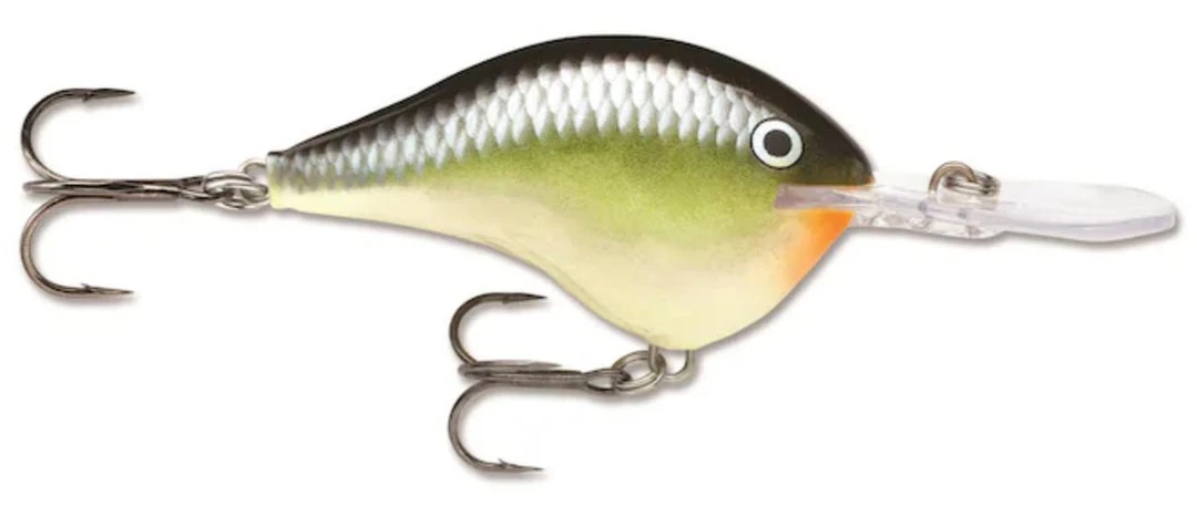 Rapala DT (Dives-To) Crankbait Freshwater 15 Rapala DT (Dives-To) Crankbait Freshwater