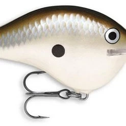 Rapala DT (Dives-To) Crankbait Freshwater 23 Rapala DT (Dives-To) Crankbait Freshwater