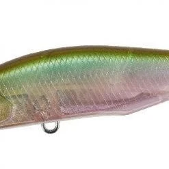 Duo Realis Spinbait 62 Alpha Freshwater 22 Duo Realis Spinbait 62 Alpha Freshwater