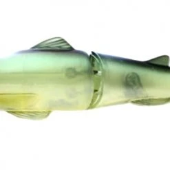 Freshwater Deps Slide Swimmer 175