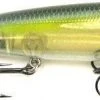 Strike King KVD Sexy Dawg Topwater