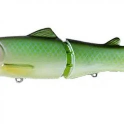 Freshwater Deps Silent Killer 19 Freshwater Deps Silent Killer