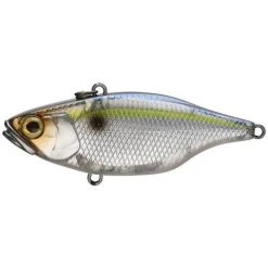 Jackall TN 70 Disk Knocker Lipless Crankbait Freshwater