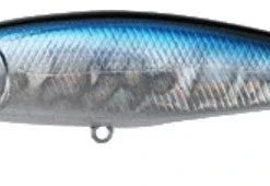 Lucky Craft Pointer SP 78 Jerkbait