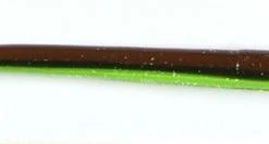 Freshwater Roboworm 6