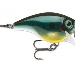 Freshwater Rapala BX Brat Crankbait