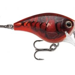 Freshwater Rapala BX Brat Crankbait