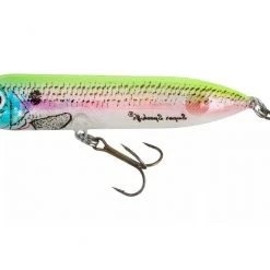 Heddon Super Spook Jr. Top Water Bait