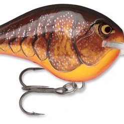 Rapala DT (Dives-To) Crankbait Freshwater 21 Rapala DT (Dives-To) Crankbait Freshwater