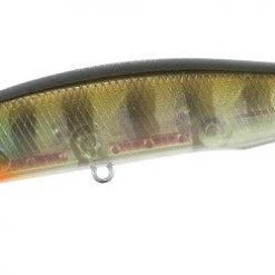 Freshwater Duo Realis Jerkbait 100SP 16 Freshwater Duo Realis Jerkbait 100SP