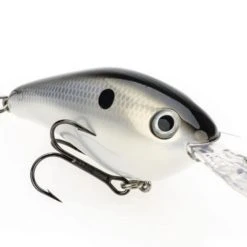Strike King 8XD Crankbait Freshwater