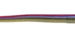 Freshwater Roboworm 6