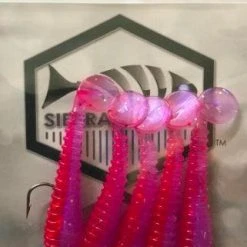 Freshwater Sierra Slammers 2