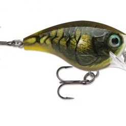 Freshwater Rapala BX Brat Crankbait