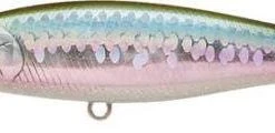 Lucky Craft Pointer SP 78 Jerkbait
