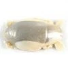 Saltwater Berkley Gulp Sand Crab Flea 1"