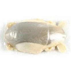 Saltwater Berkley Gulp Sand Crab Flea 1"