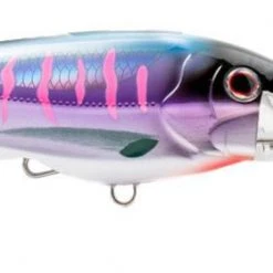 Trolling Lures Nomad Tackle DTX Minnow 20 Trolling Lures Nomad Tackle DTX Minnow