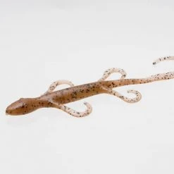 Freshwater Zoom Lizard