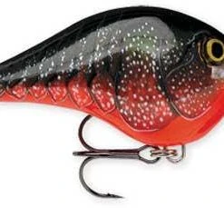 Rapala DT (Dives-To) Crankbait Freshwater