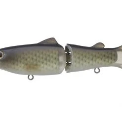 Freshwater Deps Silent Killer 27 Freshwater Deps Silent Killer