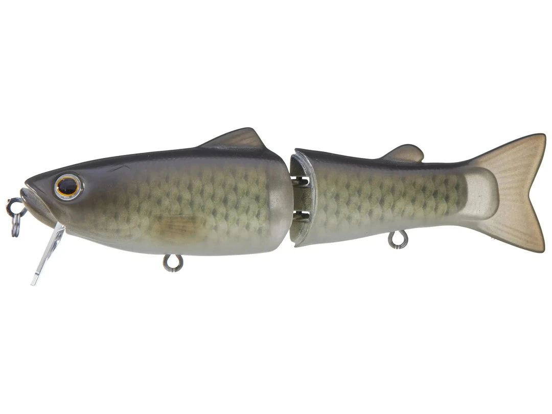 Freshwater Deps Silent Killer 14 Freshwater Deps Silent Killer