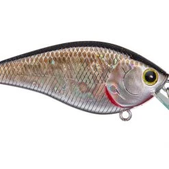 Lucky Craft KJ Flat 1.5 Crankbait