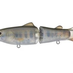 Freshwater Deps Silent Killer 26 Freshwater Deps Silent Killer