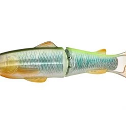 Freshwater Deps Slide Swimmer 175