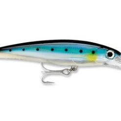 Saltwater Rapala X-Rap XRMAG-30 Divebait 30'