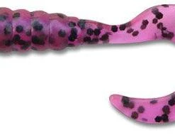 Freshwater Big Hammer Perch Grubs