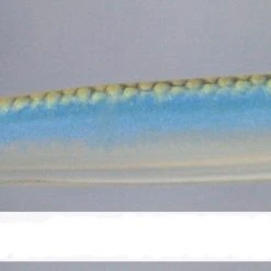 Basstrix Flash Trix 3" Freshwater