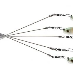 Picasso School-E-Rig Freshwater